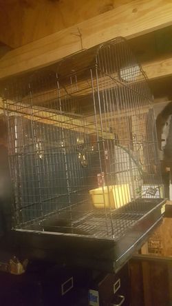 Big cage for birds