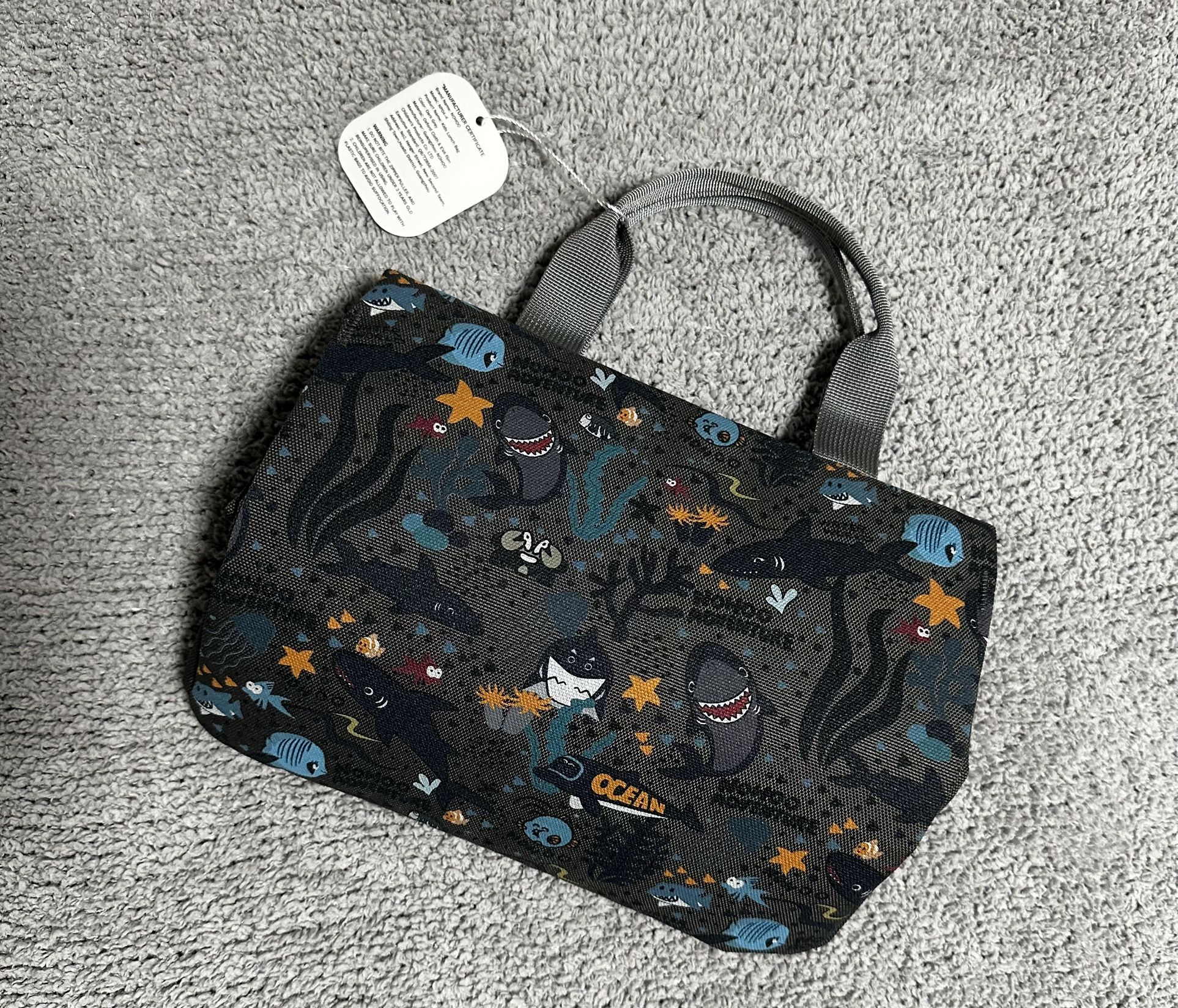 Boys/toddler Lunch Bag
