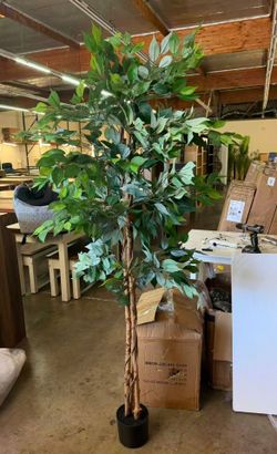 6ft Tall Artificial Ficus Tree Topiaries Tree with Pot for Outdoor and Indoor Décor (1 PC)