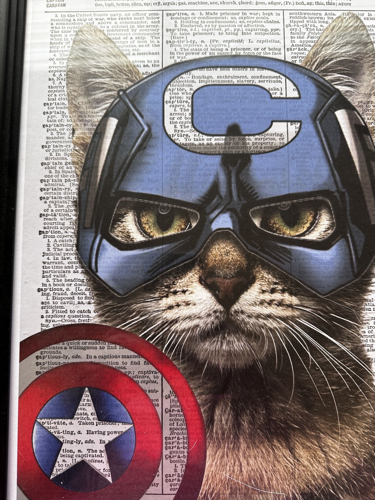 Captain America Marvel kitty Picture