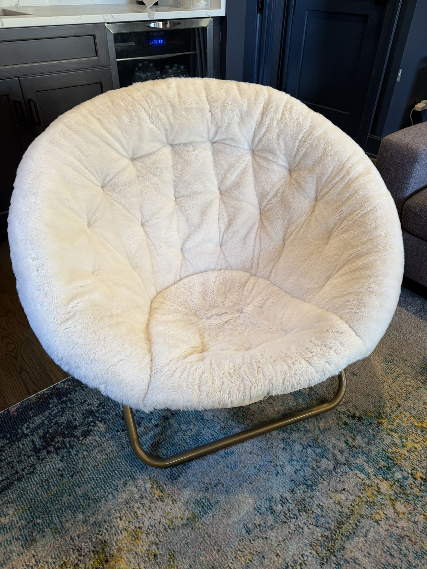 Pottery Barn Teen Hang-a-Round chair