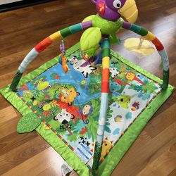 Fisher Price Baby Play Mat