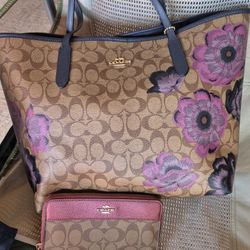 Coach Purse And Wallet