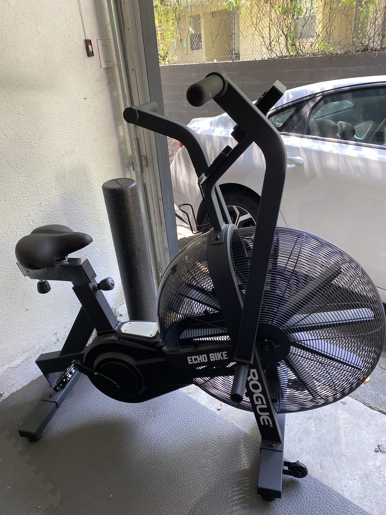 Rogue Echo Bike — V1 — Barely Used