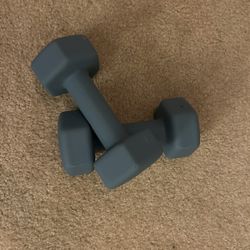 Two 10 Pound Weights! 