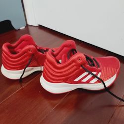 Adidas Shoes 