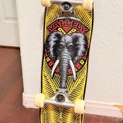 Skateboard: Powell Peralta