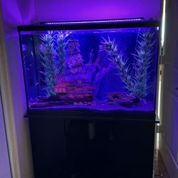 COMPLETE Fish Tank Set Up