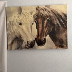 Horse Picture 
