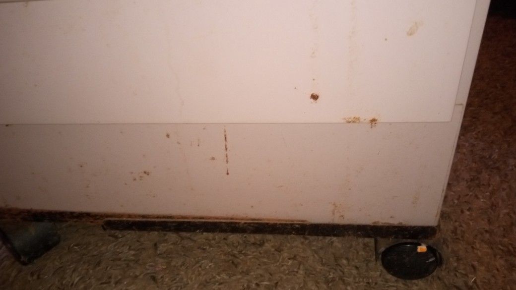 Rolling File Cabinet No Key