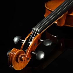 Franz Hoffmann Concert Violin Starter Kit Size 3/4