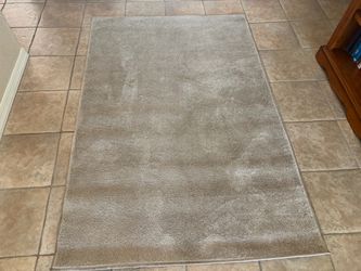 Like New 4’x 6” Neutral Color Throw Rug