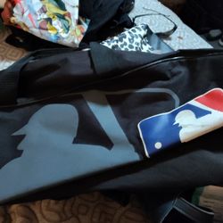 Wilson Baseball Bag