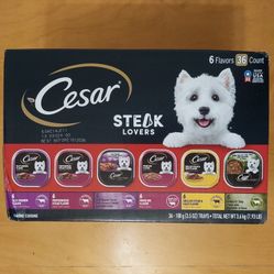 Cesar Wet Dog Food (Steak Lovers) 36 ct