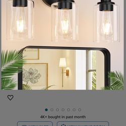 3-light Bathroom Light Fixture 