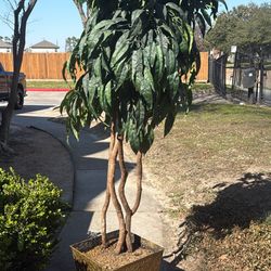 Árbol Artificial