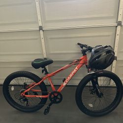 Adult bike