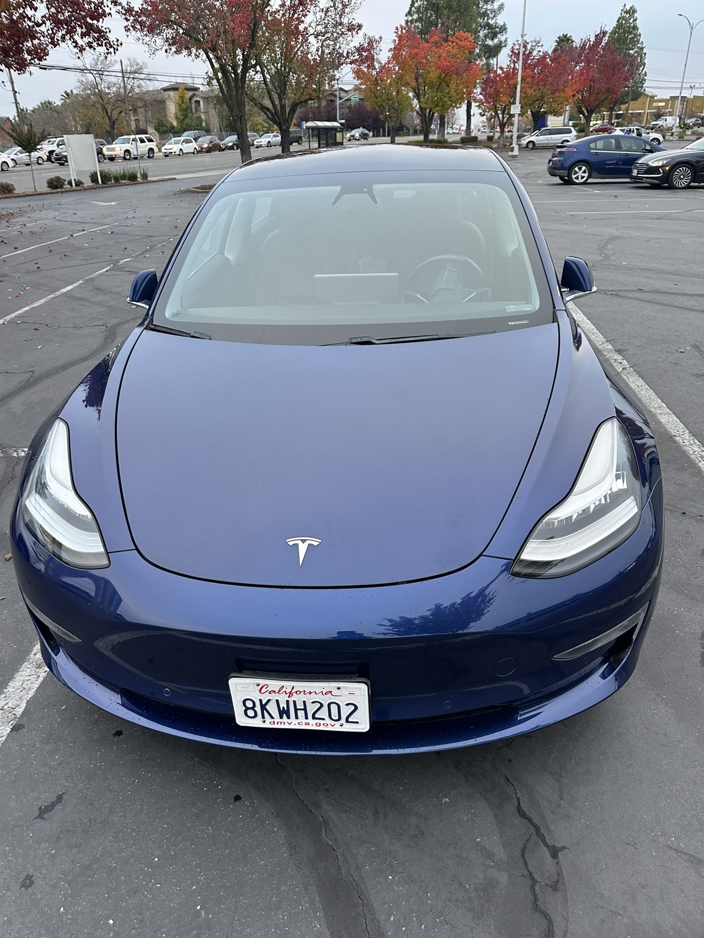 2019 Tesla 3 Great Condition Clear Title 81,000 Miles $17,000 Standard Range