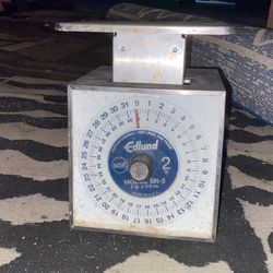 Scale
