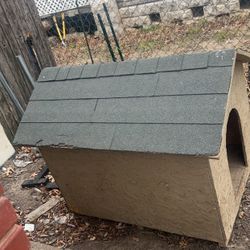 Dog House