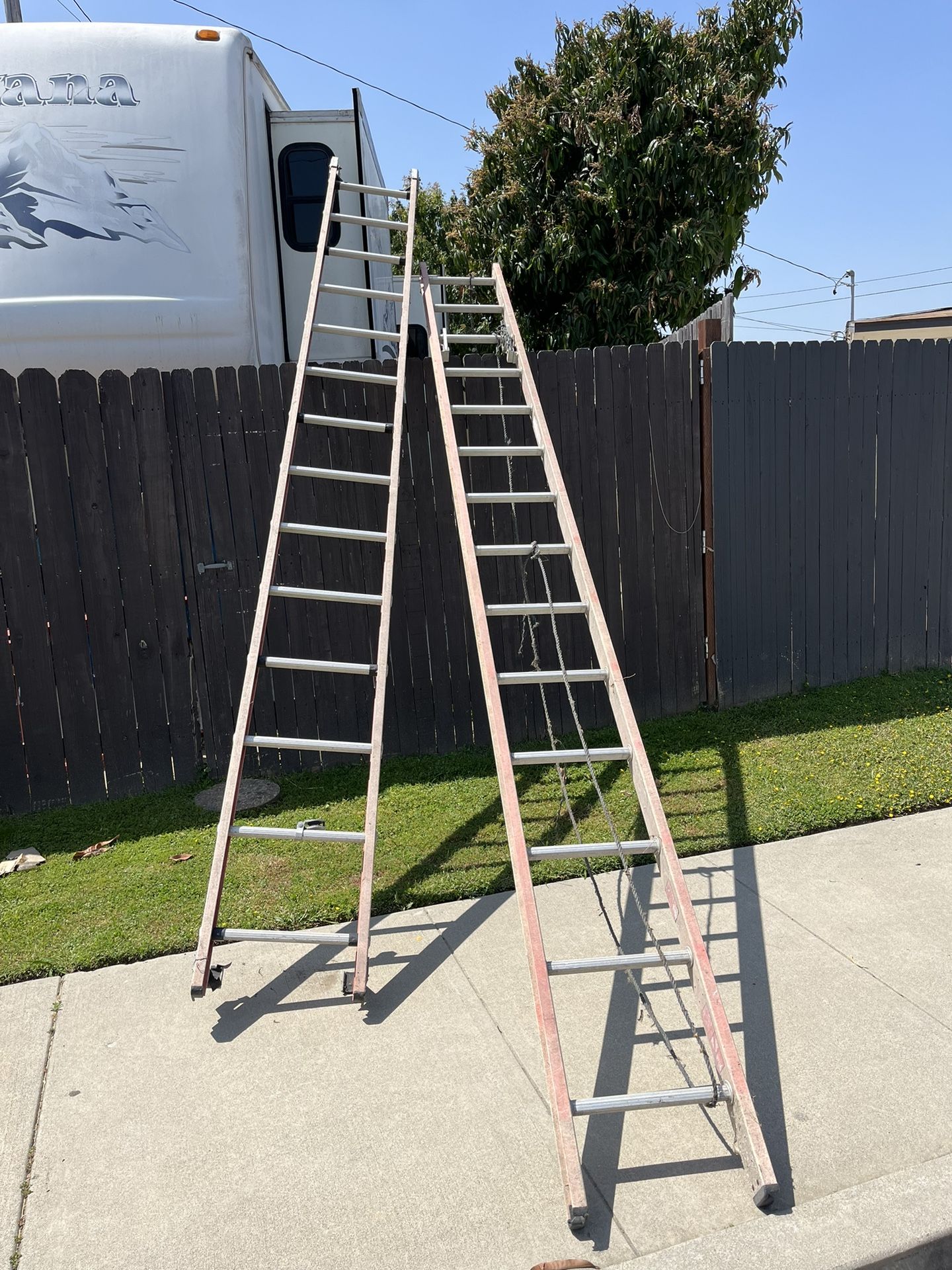 40 Foot Extension Ladder 