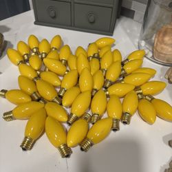Assorted Yellow Bulbs