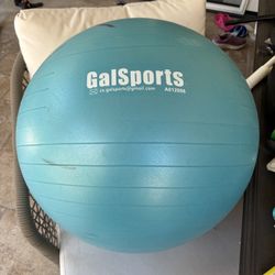Giant Yoga Pilates Ball for sale