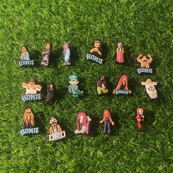 Homies Croc charm Set 