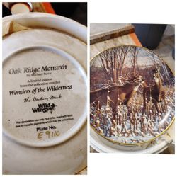 Wonders Of The Wilderness Collector Plates Series