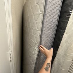 Twin Mattress And Box Spring 