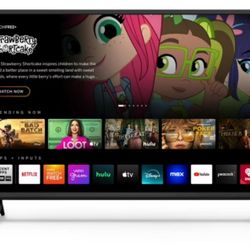 40" Vizio D-Series HDTV