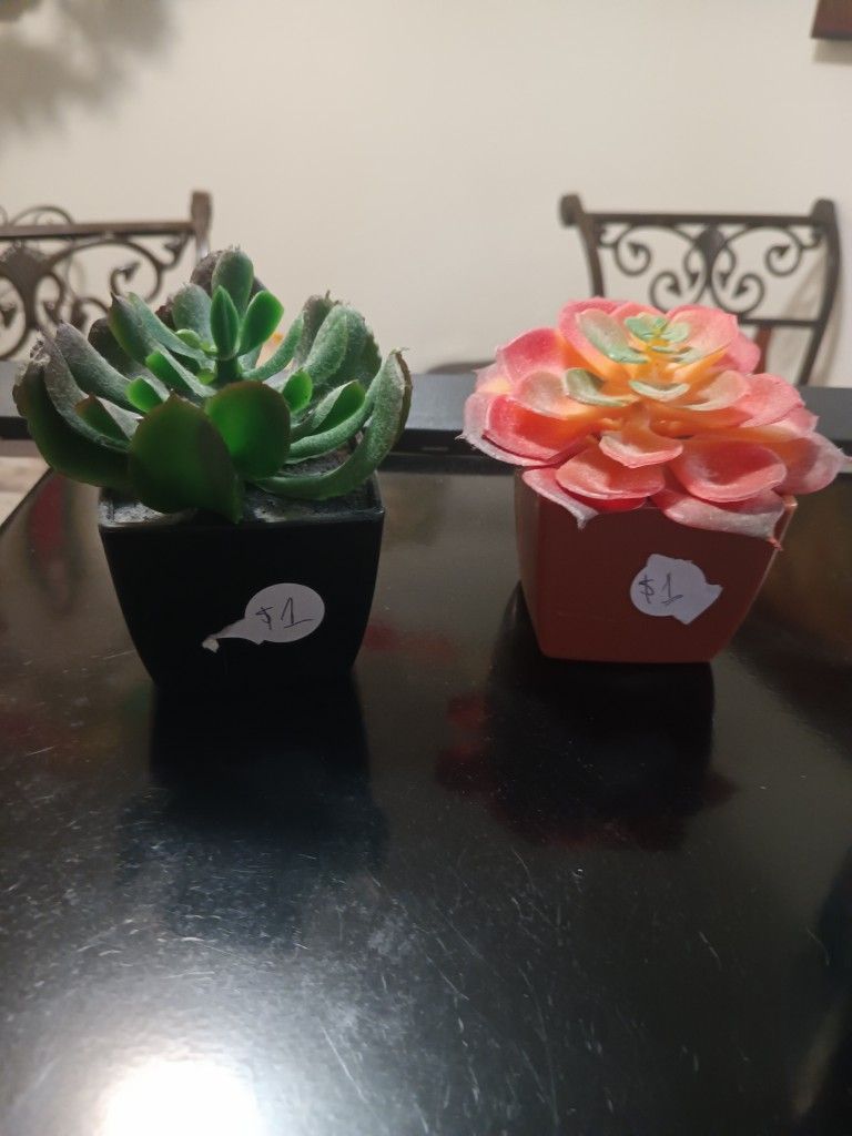 Plantitas Artificiales