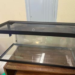 20 Gallon Locking Lid Aquarium