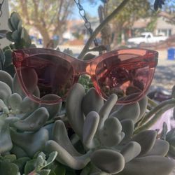 Tom Ford Pink Sunglasses