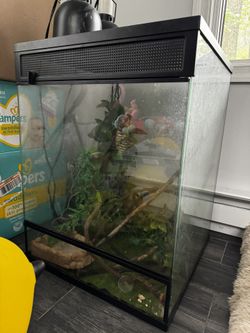 Reptile Tank