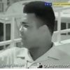 Amir