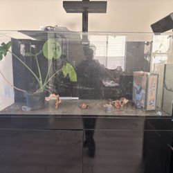 100 gallon starphire glass fish tank with sump