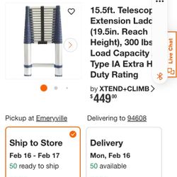 Xtend And Climb Ladder