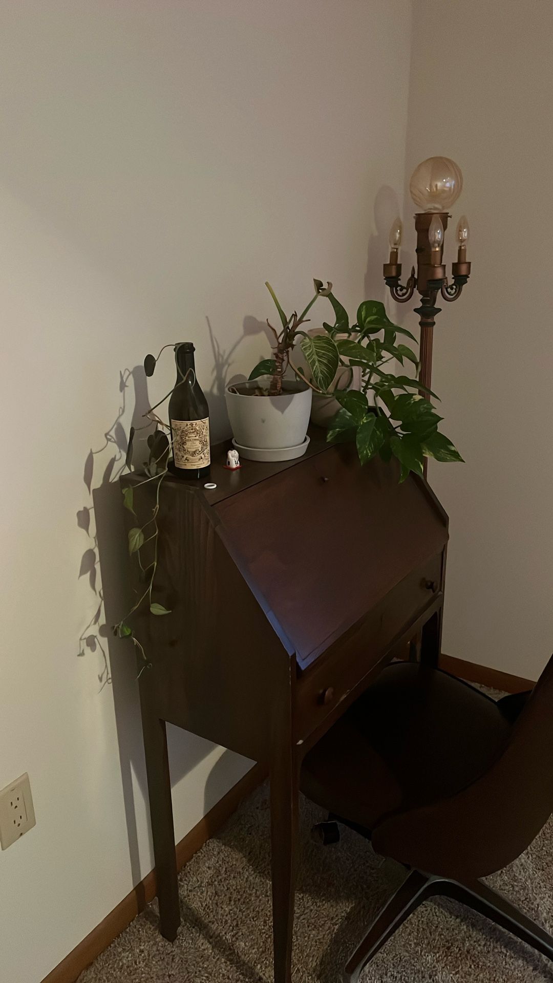 Plants For Sale