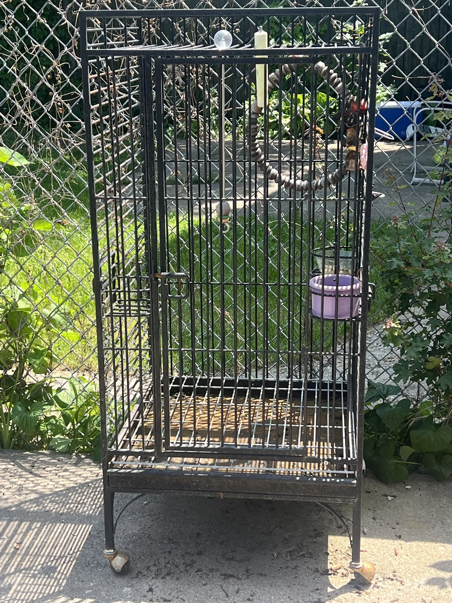 Exotic Bird Cage