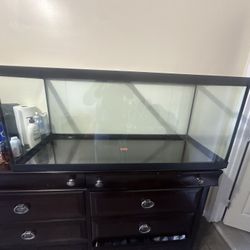 75 Gallon Fish Tank 