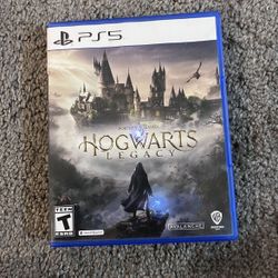 Hogwarts Legacy Ps5
