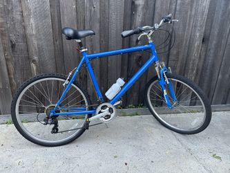 22” Tamarack Male Bike
