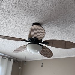 Indoor/outdoor Ceiling Fans 