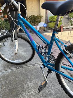RoadMaster, Blue, 24”