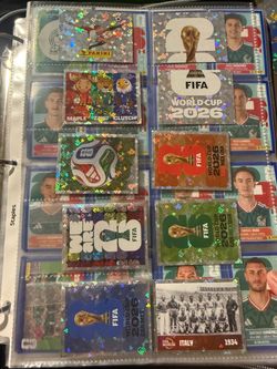 Panini stickers