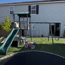 Lifetime Playset Swing Set