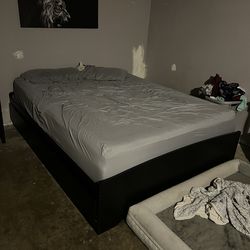 Queen Bed & Mattress
