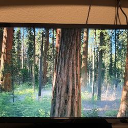 Acer 24 In Monitor For Desktop/Gaming