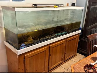 Fish tank